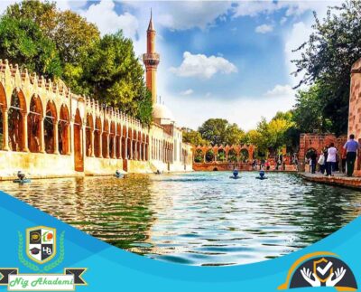 Şanlıurfa İş Sağlığı ve Güvenliği Analizi