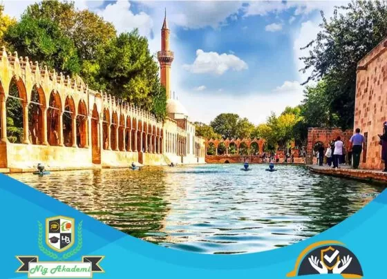 Şanlıurfa İş Sağlığı ve Güvenliği Analizi