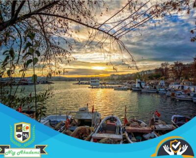 Tekirdağ İş Sağlığı ve Güvenliği Analizi