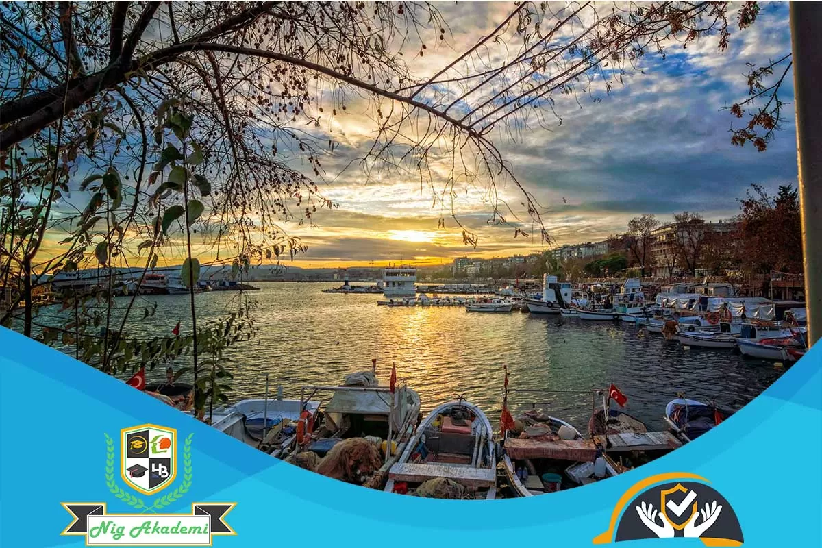 Tekirdağ İş Sağlığı ve Güvenliği Analizi
