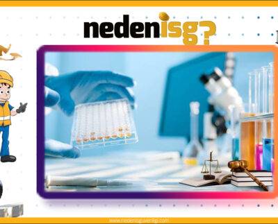 Atık Yönetimi Yönetmeliği