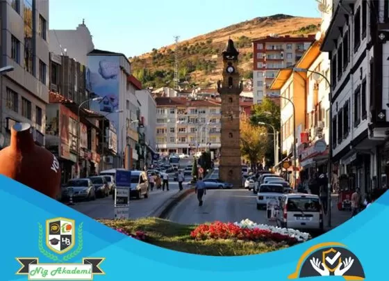 Yozgat İş Sağlığı ve Güvenliği Analizi