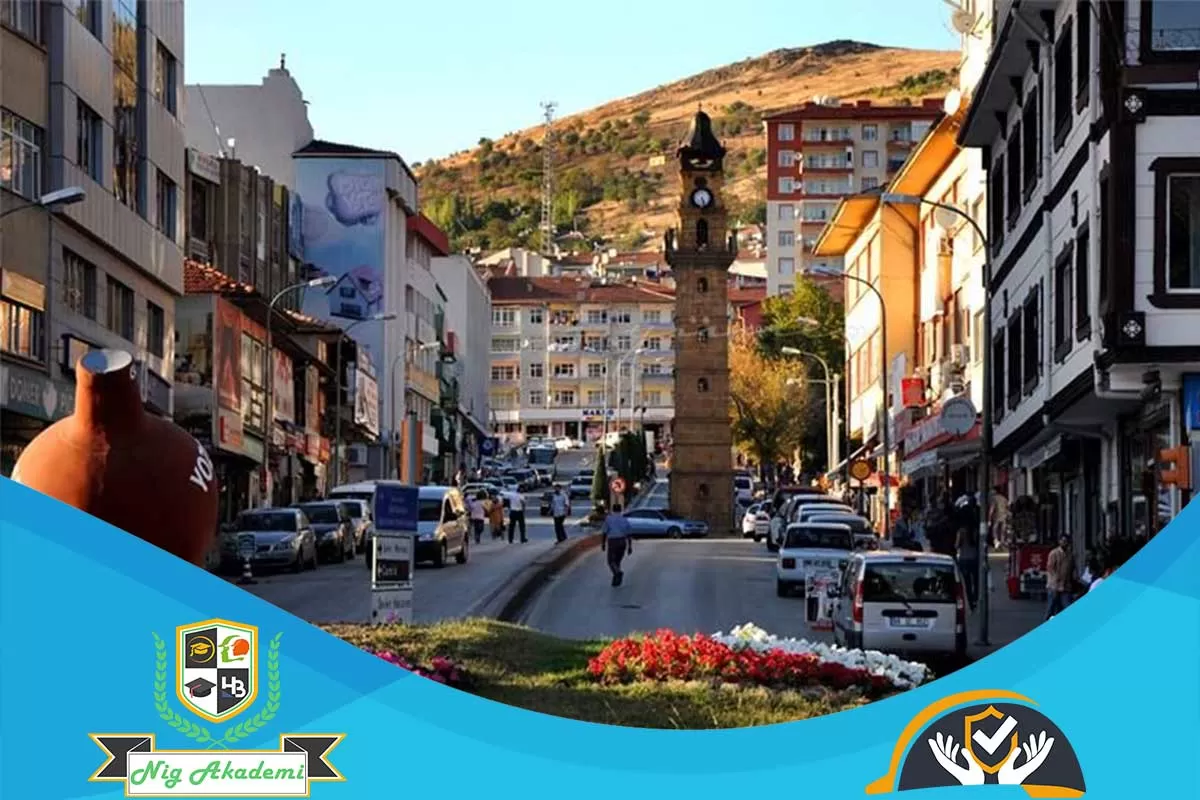 Yozgat İş Sağlığı ve Güvenliği Analizi