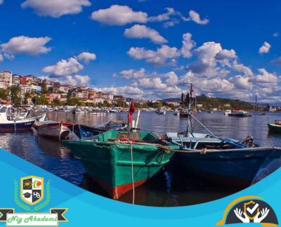 Zonguldak İş Sağlığı ve Güvenliği Analizi