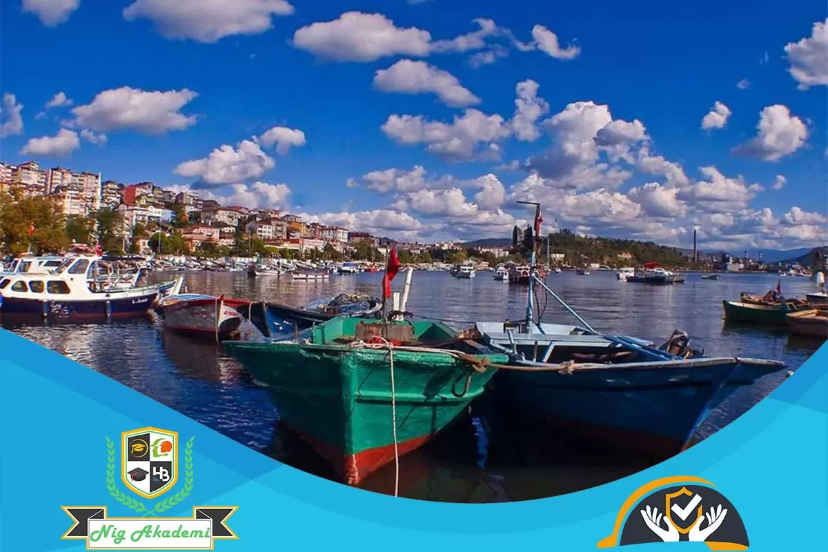 Zonguldak İş Sağlığı ve Güvenliği Analizi