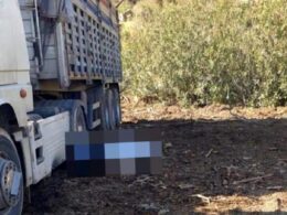 Adana'da iş cinayeti: Odun yüklerken kamyondan düşen Fahrettin Akbalık hayatını kaybetti 4