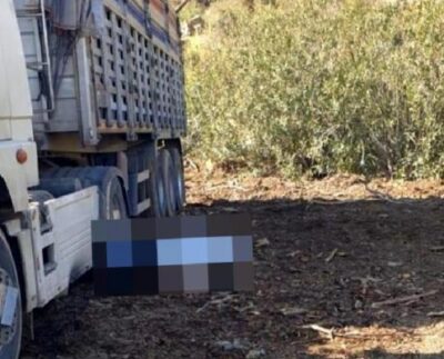 Adana'da iş cinayeti: Odun yüklerken kamyondan düşen Fahrettin Akbalık hayatını kaybetti 15