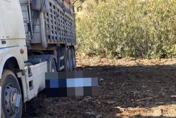 Adana'da iş cinayeti: Odun yüklerken kamyondan düşen Fahrettin Akbalık hayatını kaybetti 16