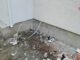 Sakarya'da iş cinayeti: Beton karma makinesine düşen Engin İnce hayatını kaybetti 13