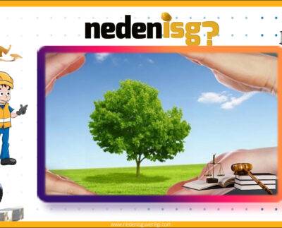 Atık Yağların Yönetimi Yönetmeliği