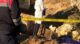 Mersin'de iş cinayeti: Üzerine taş kırma aparatı düşen Hüseyin Bıçkı hayatını kaybetti 18