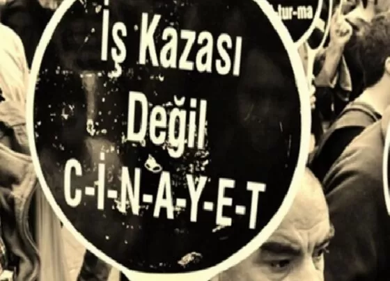 Sakarya'da iş cinayeti: Fabrikada dorsenin altında kalan Fatih Rahmet hayatını kaybetti 20