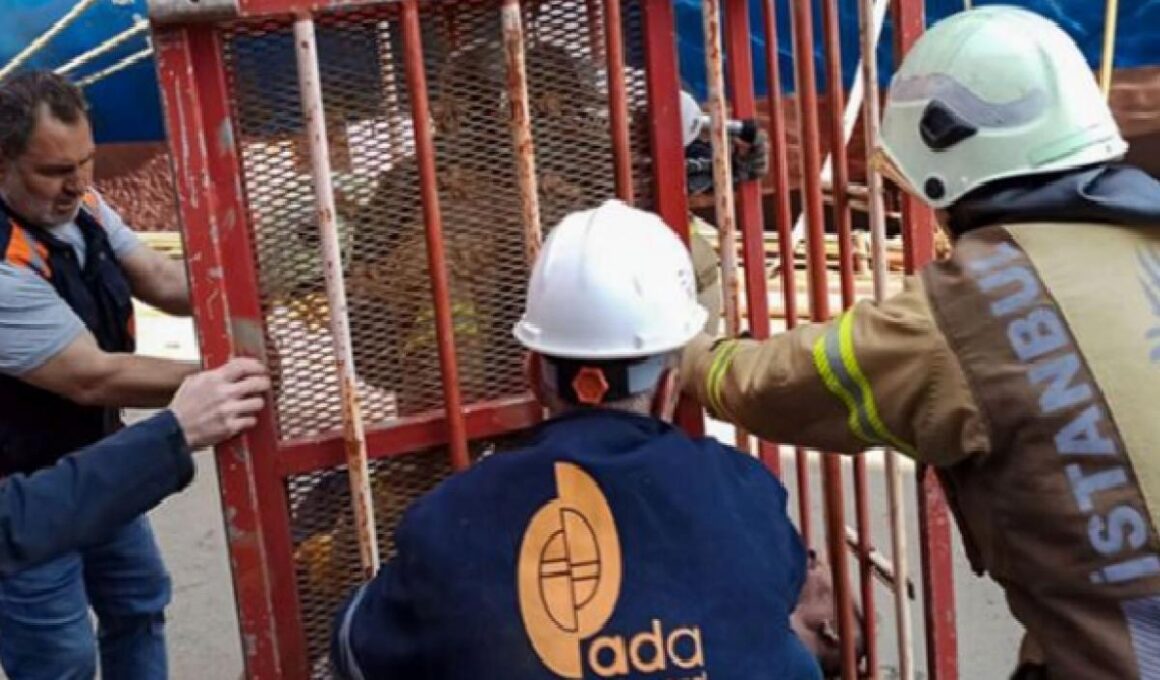 Tuzla’daki tersanede meydana gelen gaz sızıntısında dört işçi zehirlendi 1
