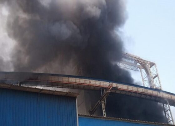 Bursa'da iş cinayeti: Orman ürünleri fabrikasındaki patlamada 2 işçi hayatını kaybetti 6