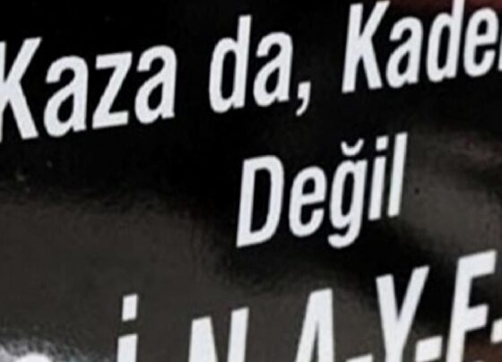 Düzce'de iş cinayeti: Tomruk altında kalan Cevdet Yüksel hayatını kaybetti 2