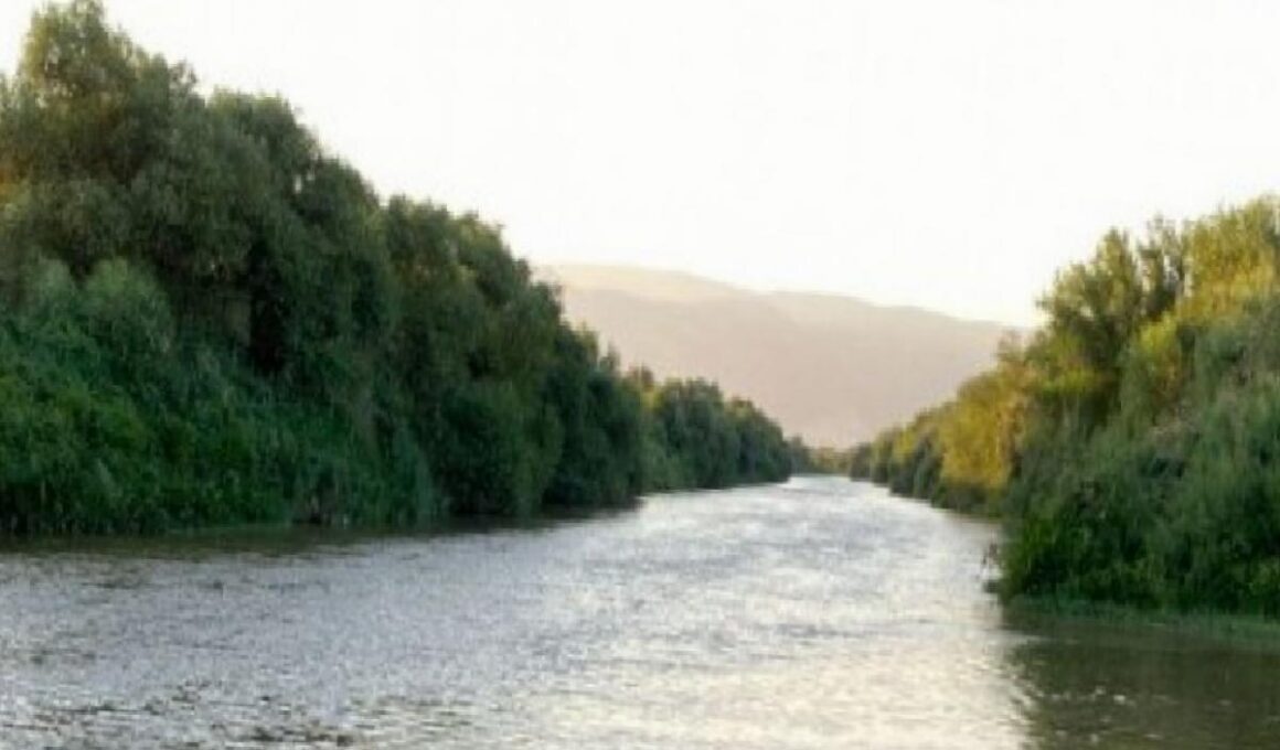 Aydın'da iş cinayeti: Büyük Menderes Nehri'nde akıntıya kapılan Aydın Baskın hayatını kaybetti 1