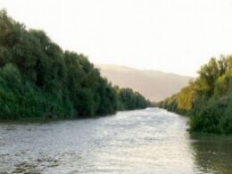 Aydın'da iş cinayeti: Büyük Menderes Nehri'nde akıntıya kapılan Aydın Baskın hayatını kaybetti 9