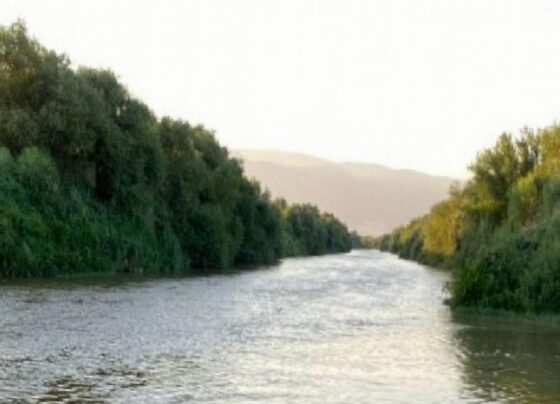 Aydın'da iş cinayeti: Büyük Menderes Nehri'nde akıntıya kapılan Aydın Baskın hayatını kaybetti 4