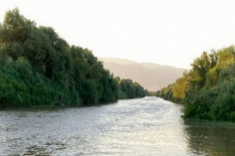 Aydın'da iş cinayeti: Büyük Menderes Nehri'nde akıntıya kapılan Aydın Baskın hayatını kaybetti 17 Aydın'da iş cinayeti: Büyük Menderes Nehri'nde akıntıya kapılan Aydın Baskın hayatını kaybetti 14