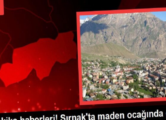 Şırnak'ta iş cinayeti: Maden ocağındaki göçük:te Hekim Ercan hayatını kaybetti 7