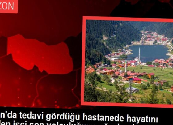 Trabzon'da iş cinayeti: yüksek gerilim hattından düşen Ali Şenel hayatını kaybetti 2