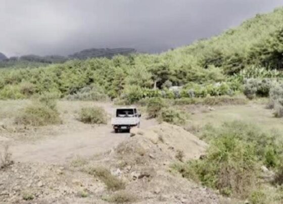 Hatay'da uçuruma devrilen kamyonetteki 3 işçi hayatını kaybetti 3