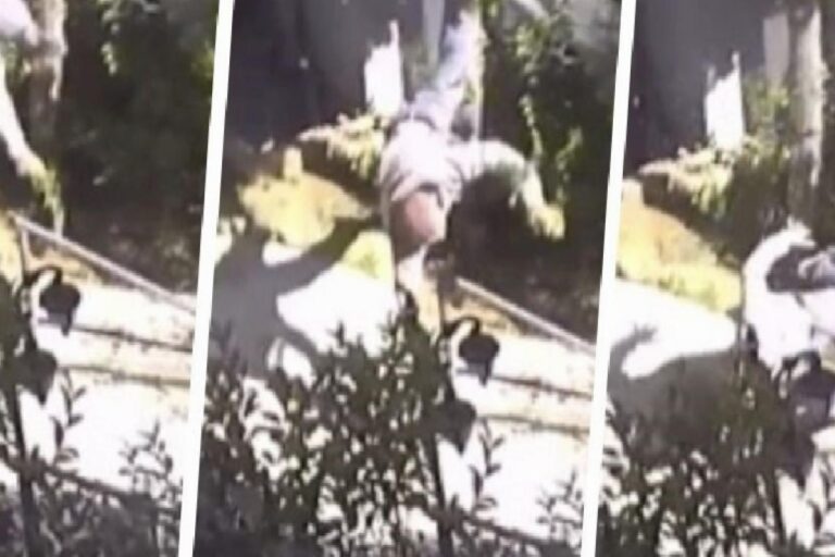 İstanbul'da iş cinayeti: Sarıyer’de villanın çatısından düşen Tahir Seven hayatını kaybetti 4 İstanbul'da iş cinayeti: Sarıyer’de villanın çatısından düşen Tahir Seven hayatını kaybetti 2