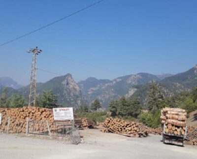 Adana'da iş cinayeti: Üzerine tomruk devrilen Umut Durakçı hayatını kaybetti