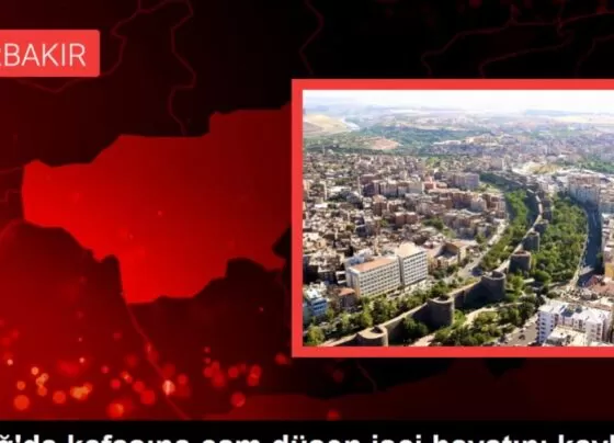 Elazığ'da iş cinayeti: Kafasına cam düşen Zülfü Akbudak hayatını kaybetti 3