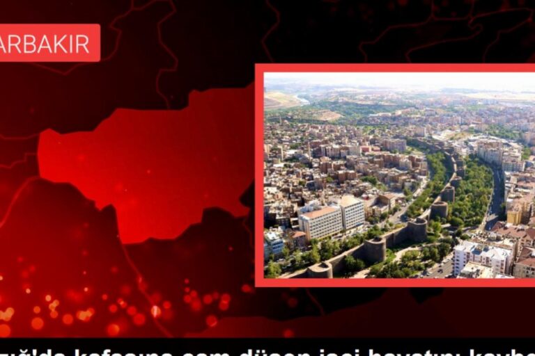 Elazığ'da iş cinayeti: Kafasına cam düşen Zülfü Akbudak hayatını kaybetti 12 Elazığ'da iş cinayeti: Kafasına cam düşen Zülfü Akbudak hayatını kaybetti 2
