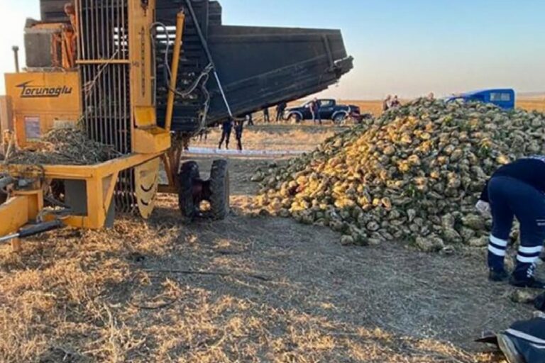 Aksaray'da iş cinayeti: Pancar makinesinin içine düşen Ziyat İsa yaşamını yitirdi. 17 Aksaray'da iş cinayeti: Pancar makinesinin içine düşen Ziyat İsa yaşamını yitirdi.