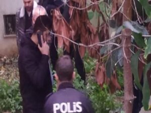 İstanbul'da iş cinayeti: Çatıyı tamir eden işçi 5'inci kattan düşerek hayatını kaybetti