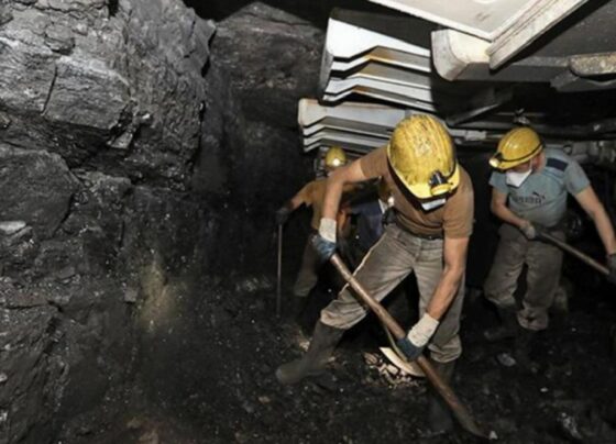 Madenlerde iki bin kaçak işçi var