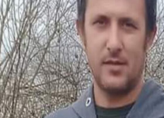 Sakarya'da iş cinayeti: Ağaç soyma makinesine sıkışan Mehmet Çetin hayatını kaybetti