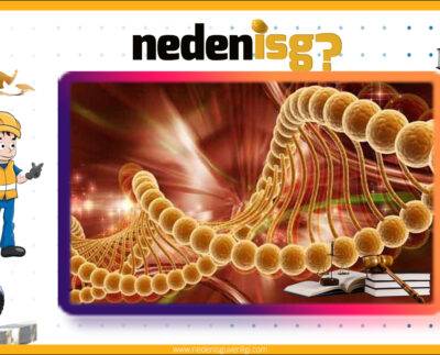 Kanserojen veya Mutajen Maddelerle Çalışmalarda Sağlık ve Güvenlik Önlemleri Yönetmeliği