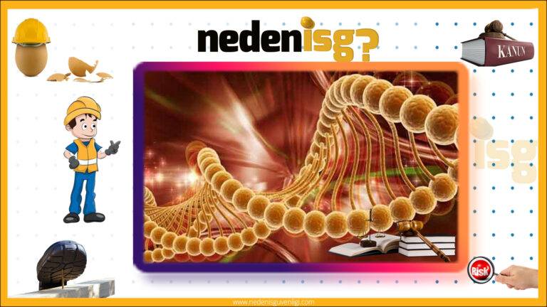 Kanserojen veya Mutajen Maddelerle Çalışmalarda Sağlık ve Güvenlik Önlemleri Yönetmeliği 1 Kanserojen veya Mutajen Maddelerle Çalışmalarda Sağlık ve Güvenlik Önlemleri Yönetmeliği