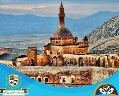 Ağrı iş sağlığı ve güvenliği analizi