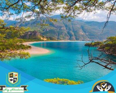 Muğla İş Sağlığı ve Güvenliği Analizi