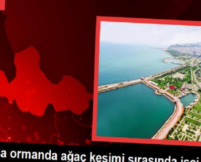 Samsun'da üzerine ağaç düşen Hasan Keskin hayatını kaybetti