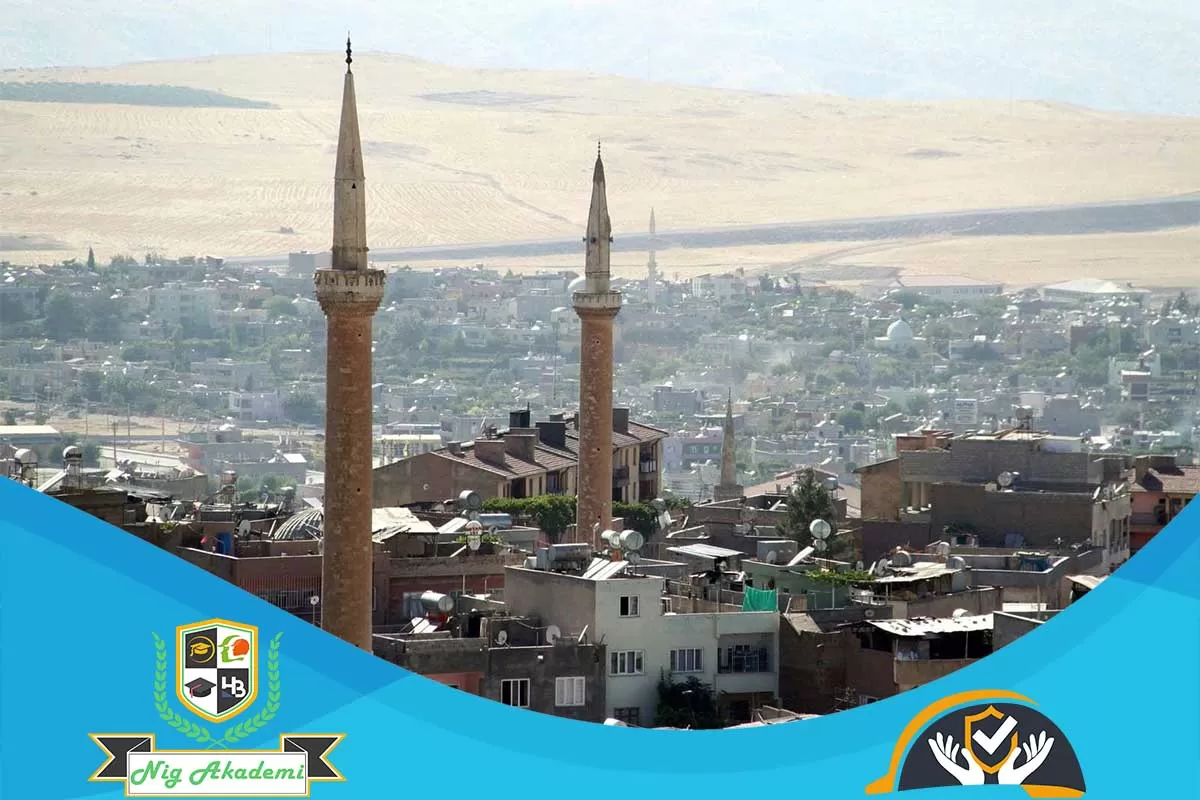 Siirt İş Sağlığı ve Güvenliği Analizi