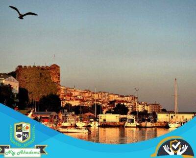 Sinop İş Sağlığı ve Güvenliği Analizi