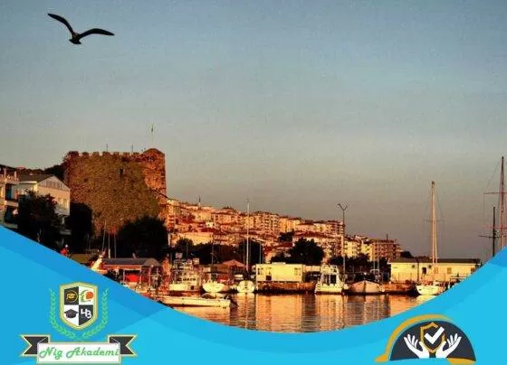 Sinop İş Sağlığı ve Güvenliği Analizi