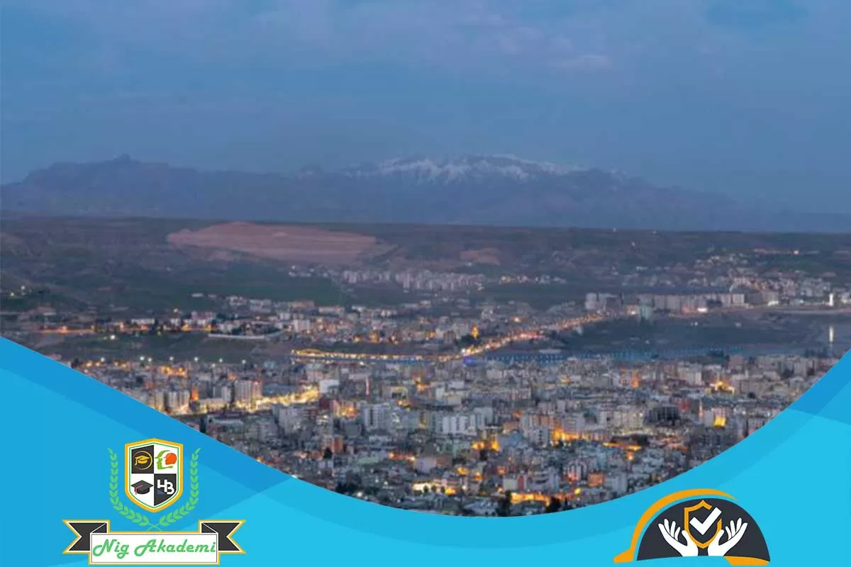 Şırnak İş Sağlığı ve Güvenliği Analizi