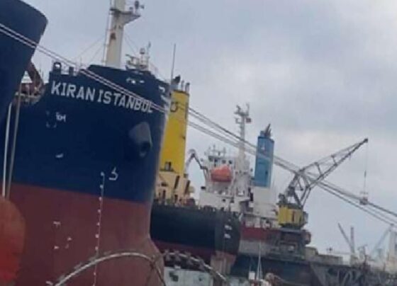 Tuzla'da iş cinayeti: Geminin atık deposunda patlamada 1 işçi hayatını kaybetti