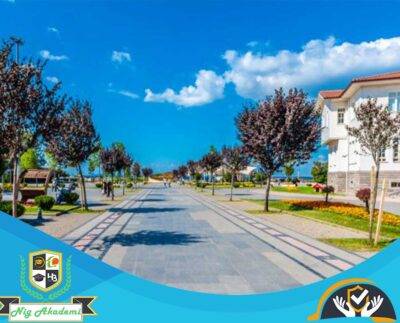 Yalova İş Sağlığı ve Güvenliği Analizi
