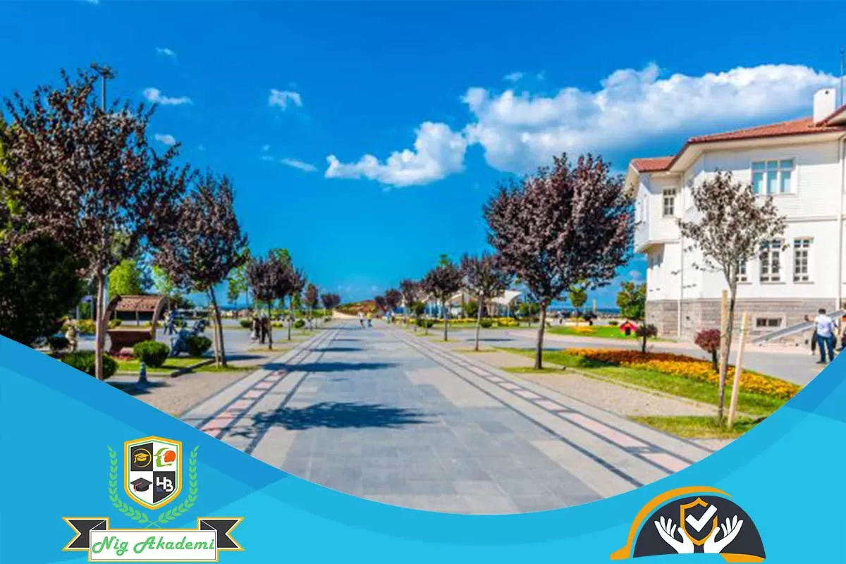 Yalova İş Sağlığı ve Güvenliği Analizi