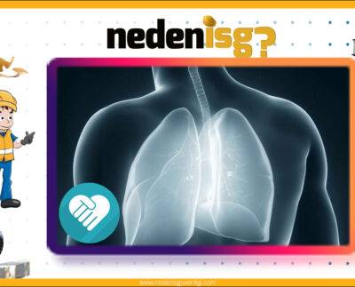 Mezotelyoma Farkındalık Günü