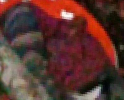 Bursa'da kestiği ağacın altında kalan işçi hayatını kaybetti