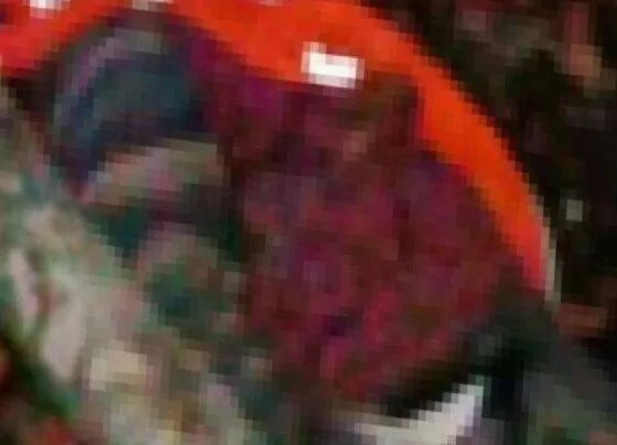 Bursa'da kestiği ağacın altında kalan işçi hayatını kaybetti