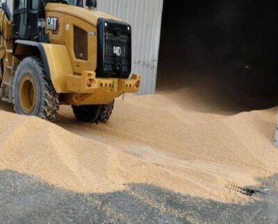 Bolu'da yem deposunda tonlarca mısırın altında kalan işçi öldü